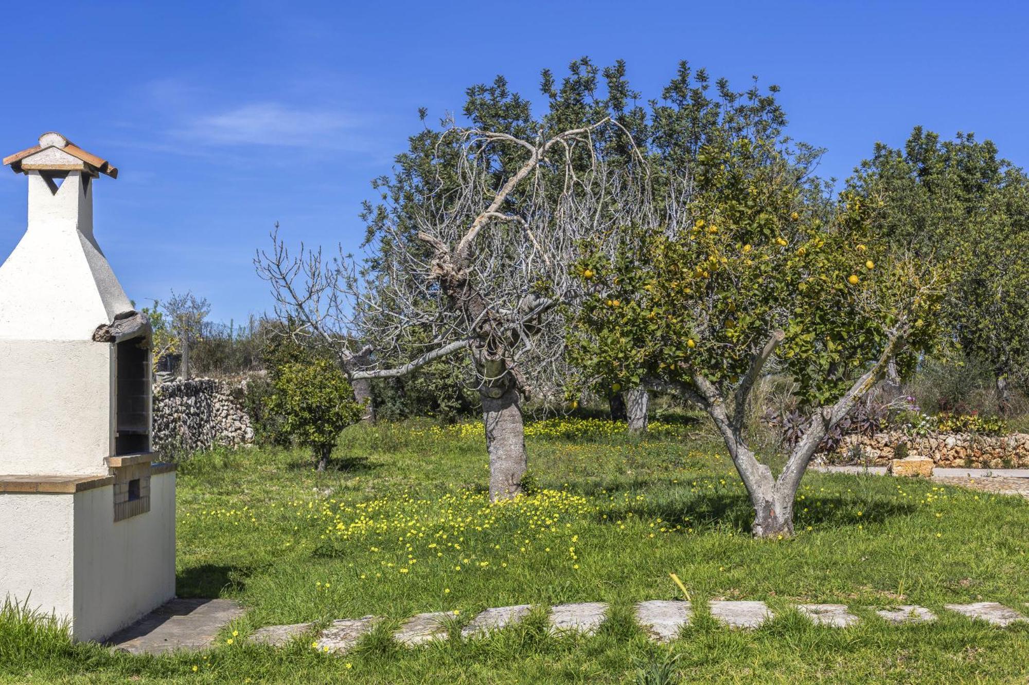 Finca Sa Torreta サンタ・マルガリーダ エクステリア 写真