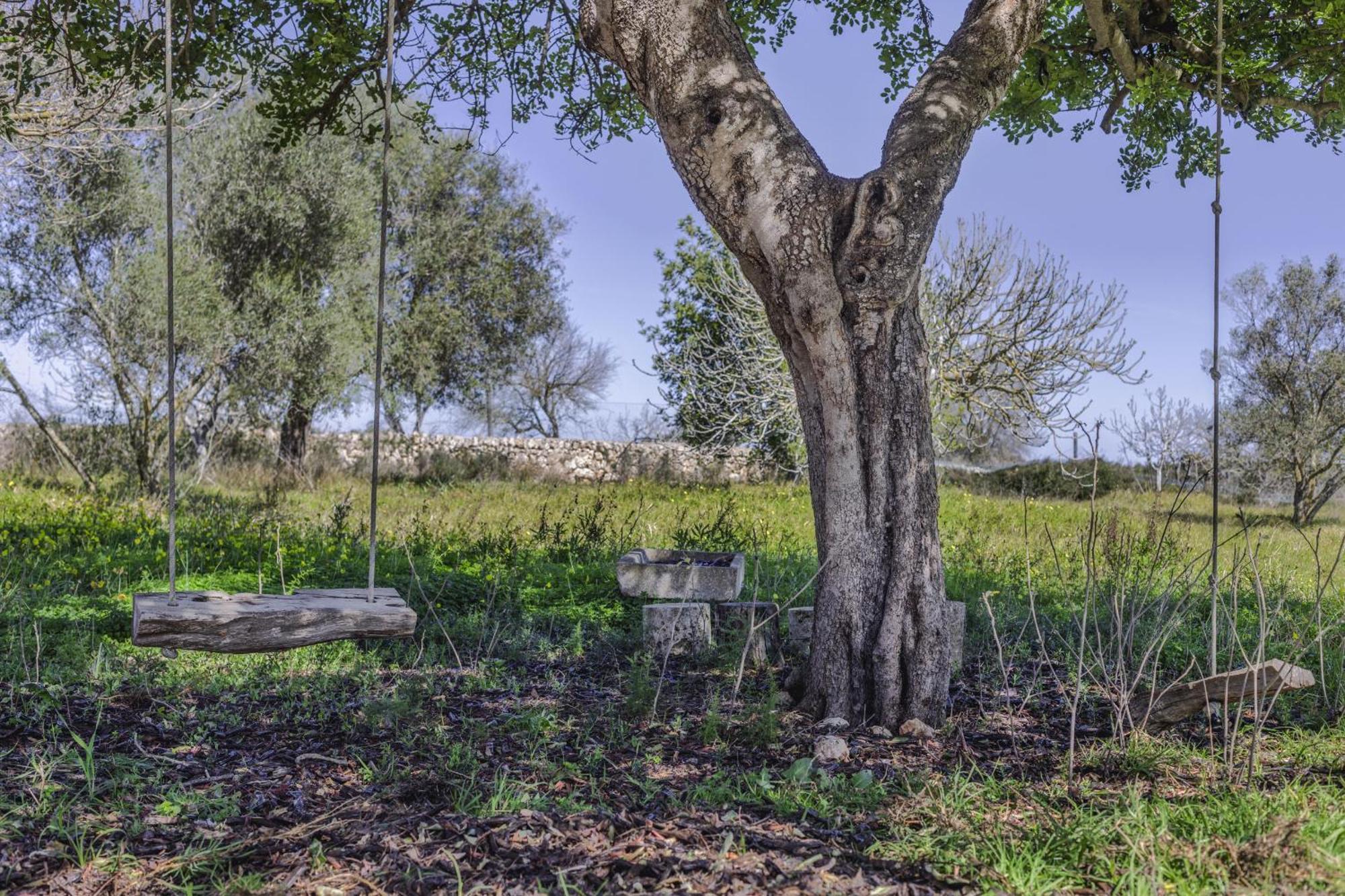 Finca Sa Torreta サンタ・マルガリーダ エクステリア 写真